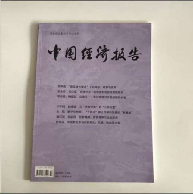中国经济报告